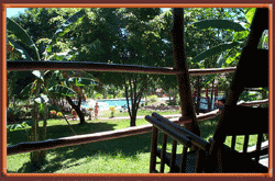 Vista desde el bungalow